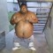 bbfrmdao