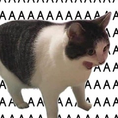 yayaaaa