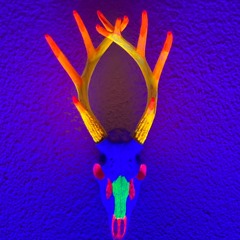 Neon Skinwalker