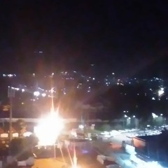 پونه شکارچی