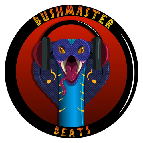 Bushmaster Beats’s avatar