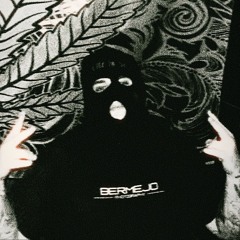 . BERMEJO .