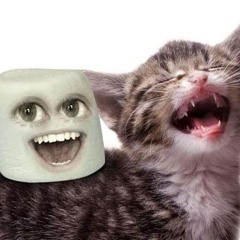 sandsause