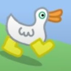 Random Duck