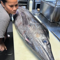 Sona Maiyol lesegbul