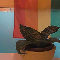 Neogluco-Genesis-Evangelion