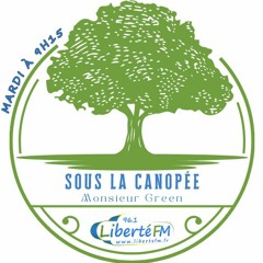 Monsieur Green