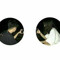 Alk