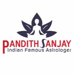 Astrologer Sanjay Ji