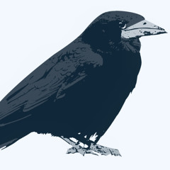 Raven-B