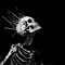 ZIKIEL