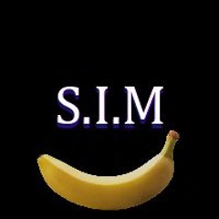 S.I.M