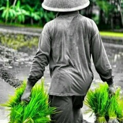 Muhammad Edil