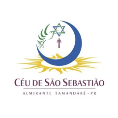 16 - Árvore sombreira