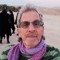 Amnon Shavit