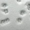 pharramise