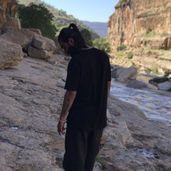 erfan.barooni