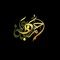 Ahmed Shaban