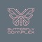 Butterfly Complex