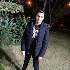 بكر باشا