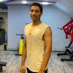Ahmed abo Hegazy