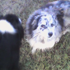 colton’s voice memos