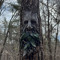 forgingforest