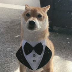 Bujii