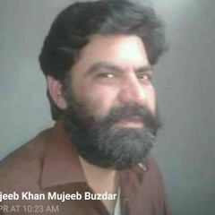 mujeeb khan buzdar