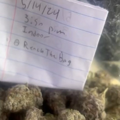 Reachthebag/telegram
