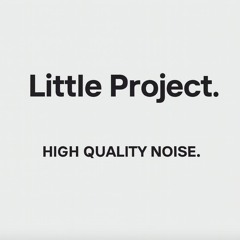 Little Project.