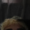 rex
