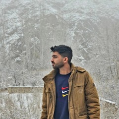 Javad Saberi