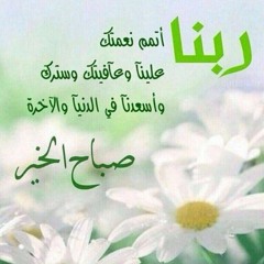 هشام محمود