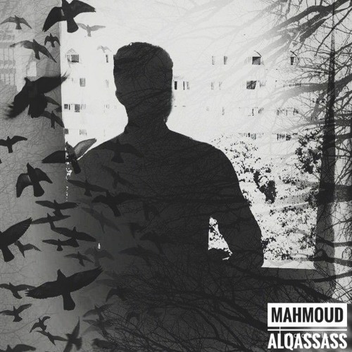 mahmoud alqassass’s avatar