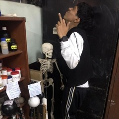 bardalxs.