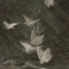 mystriana