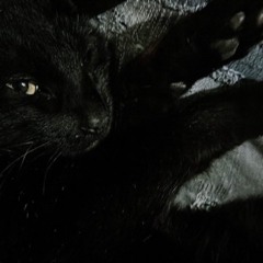 FUCKJARIZAIN#WONDRLANDZAINFAMILY ARCHIVES