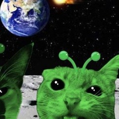 NØTNXVA (@notnxva._)