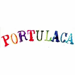 P O R T U L A C A