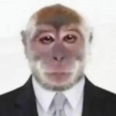 Mr. Zaza