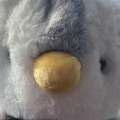 thechaoticpenguin