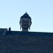 C Lynney Dorjee