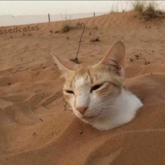 Average music enjoyer