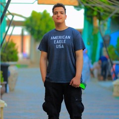 Omar Safwat Abo Rakm