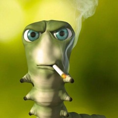 Brizzzet
