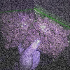 2zips