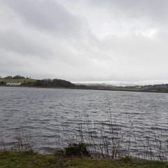 Firebeard Recordings