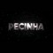 DJ PECINHA 011