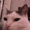margmagoo